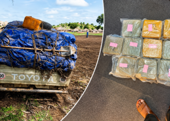 Douane Mali : marchandises saisies lors d’une opération de contrôle à Kayes