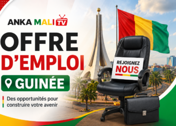 RESPONSABLE DÉVELOPPEMENT COMMERCIAL IT