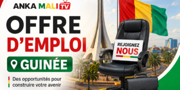 RESPONSABLE DÉVELOPPEMENT COMMERCIAL IT