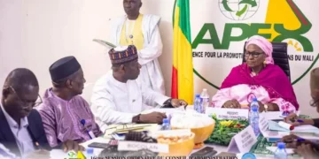 16ème Session Ordinaire du Conseil d’administration de l’APEX-MALI : Les administrateurs évaluent la performance à mi-parcours de l’année 2026 de l’agence