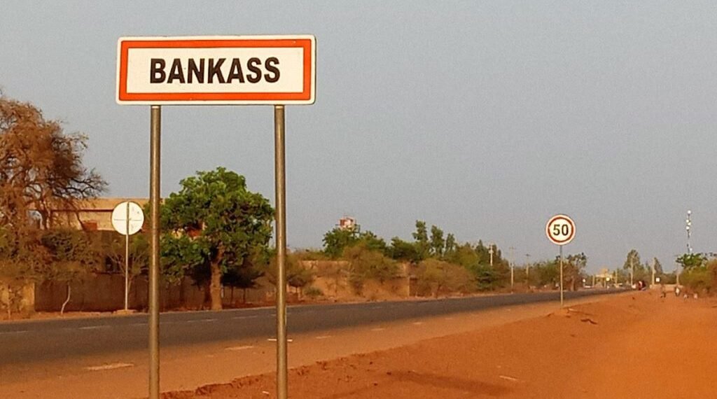 À Bankass, les champs de haricots offrent de bonnes perspectives​