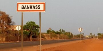 À Bankass, les champs de haricots offrent de bonnes perspectives​