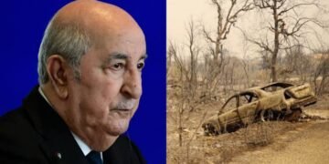 Algérie : après les incendies meurtriers, Tebboune réclame la peine de mort