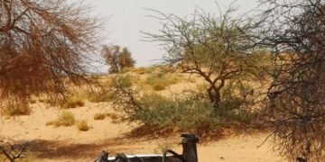 Nigéria : un chef terroriste neutralisé dans l’État de Katsina​