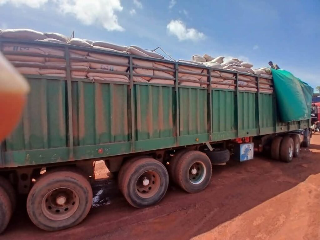 La Douane malienne saisit 150 cartons de boissons alcoolisées frelatées sur l’axe Zégoua-Sikasso. Le chauffeur et le camion ont été conduits à la Direction régionale.