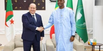 ENTRETIEN ENTRE LES PREMIERS MINISTRES ALGÉRIEN ET MALIEN​