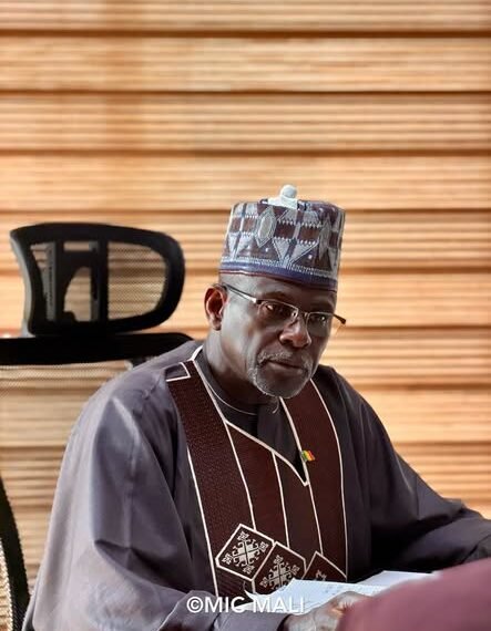 Coopération économique Mali-Chine : Le Ministre Moussa Alassane Diallo échange avec le nouvel Ambassadeur Mamadou Sory Dembélé​